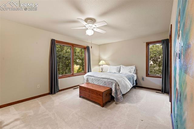 MLS Image for 5540  Jarman  ,Colorado Springs, Colorado