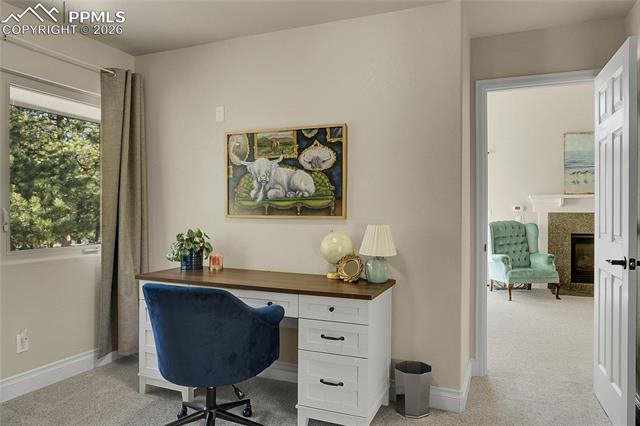 MLS Image for 17350  Goshawk  ,Colorado Springs, Colorado