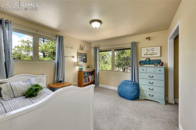 MLS Image for 17350  Goshawk  ,Colorado Springs, Colorado