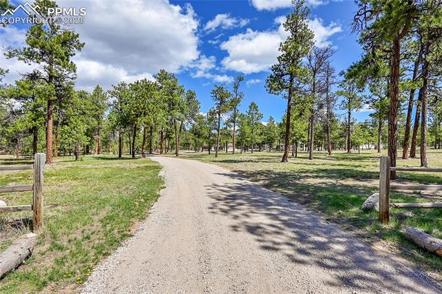 MLS Image for 17350  Goshawk  ,Colorado Springs, Colorado