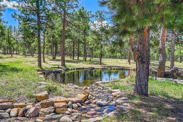 MLS Image for 17350  Goshawk  ,Colorado Springs, Colorado
