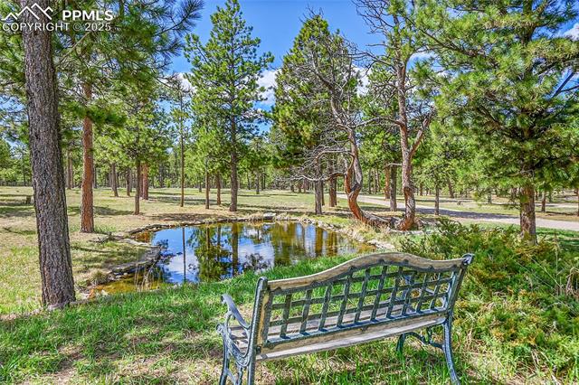 MLS Image for 17350  Goshawk  ,Colorado Springs, Colorado