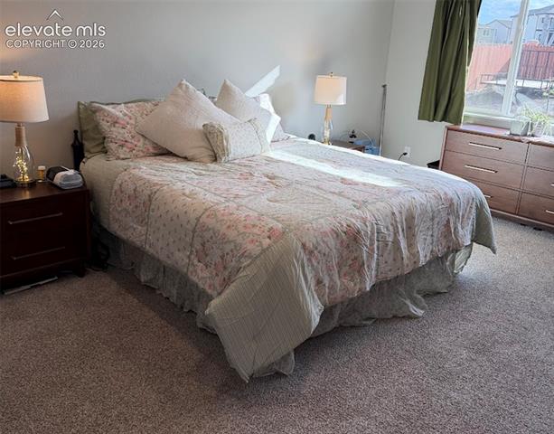 MLS Image for 10830  Morning Hills  ,Peyton, Colorado