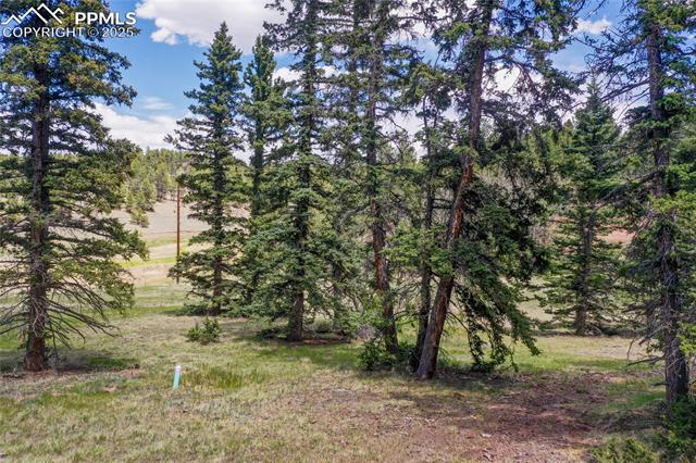 MLS Image for 16  Echo  ,Florissant, Colorado