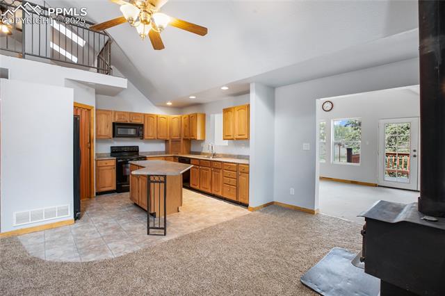 MLS Image for 16  Echo  ,Florissant, Colorado