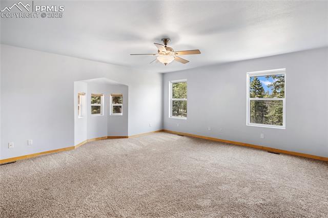 MLS Image for 16  Echo  ,Florissant, Colorado