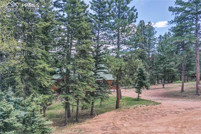 MLS Image for 16  Echo  ,Florissant, Colorado