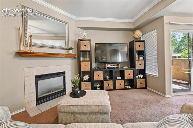 MLS Image for 3715  Riviera  101 ,Colorado Springs, Colorado