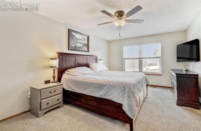 MLS Image for 8622  Massey  ,Colorado Springs, Colorado