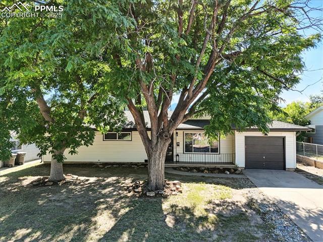 308  Steven  , colorado springs  House Search MLS Picture