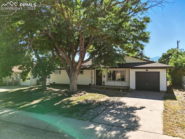 MLS Image for 308  Steven  ,Colorado Springs, Colorado