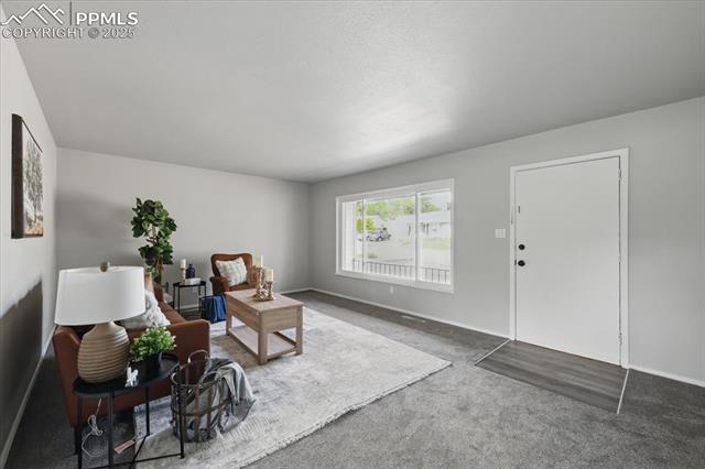 MLS Image for 308  Steven  ,Colorado Springs, Colorado