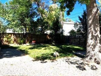 MLS Image for 439 N Walnut  ,Colorado Springs, Colorado