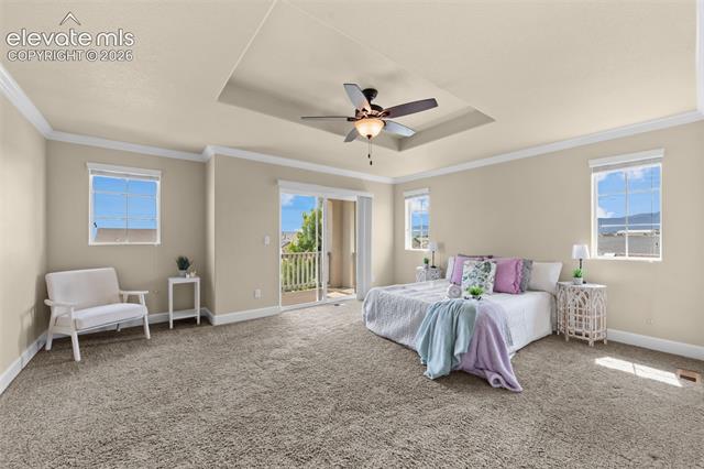 MLS Image for 2560  Farrier  ,Colorado Springs, Colorado