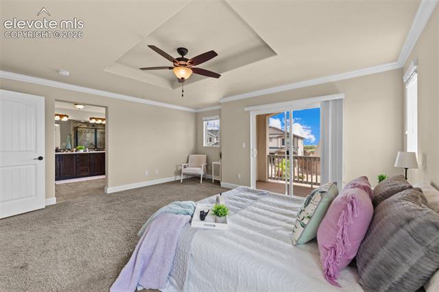 MLS Image for 2560  Farrier  ,Colorado Springs, Colorado