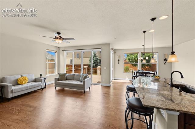 MLS Image for 2560  Farrier  ,Colorado Springs, Colorado