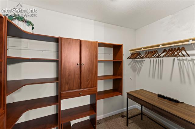 MLS Image for 417  Coraline  ,Woodland Park, Colorado