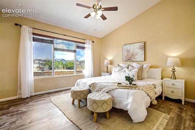 MLS Image for 6544  Balance  ,Colorado Springs, Colorado