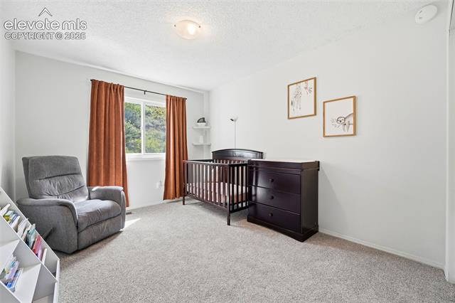 MLS Image for 3526  Hofstead  ,Colorado Springs, Colorado