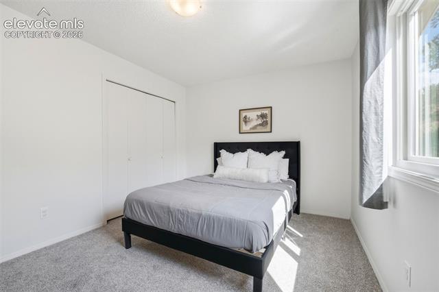 MLS Image for 3526  Hofstead  ,Colorado Springs, Colorado