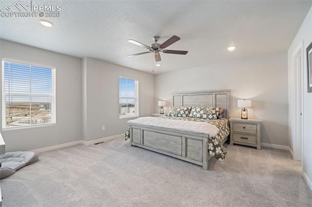 MLS Image for 5105  Beartrack  ,Colorado Springs, Colorado