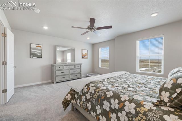 MLS Image for 5105  Beartrack  ,Colorado Springs, Colorado