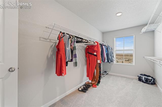 MLS Image for 5105  Beartrack  ,Colorado Springs, Colorado