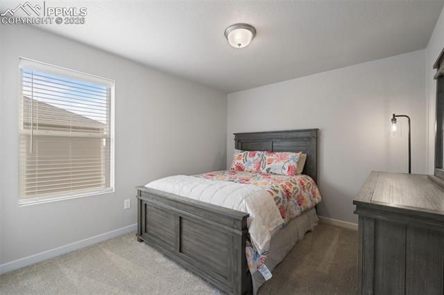 MLS Image for 5105  Beartrack  ,Colorado Springs, Colorado