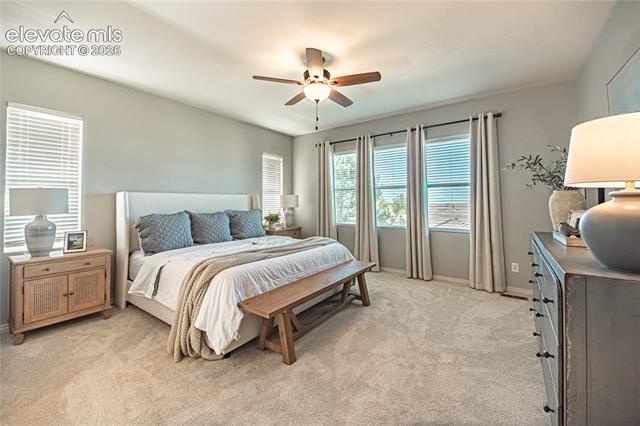 MLS Image for 2613  Crooked Vine  ,Colorado Springs, Colorado