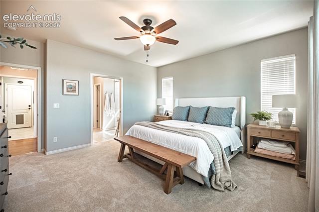 MLS Image for 2613  Crooked Vine  ,Colorado Springs, Colorado