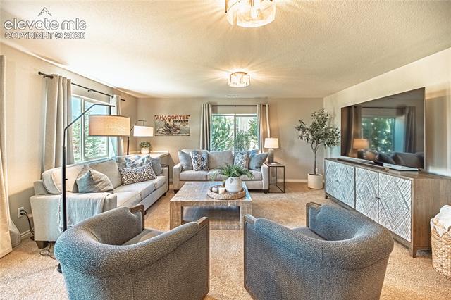 MLS Image for 2613  Crooked Vine  ,Colorado Springs, Colorado