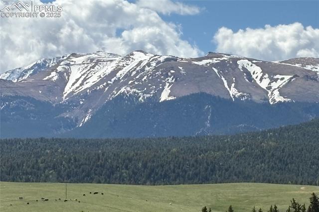 MLS Image for 407  Meadow Park  ,Divide, Colorado