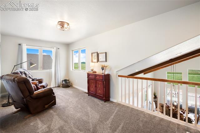 MLS Image for 407  Meadow Park  ,Divide, Colorado