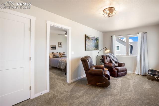 MLS Image for 407  Meadow Park  ,Divide, Colorado