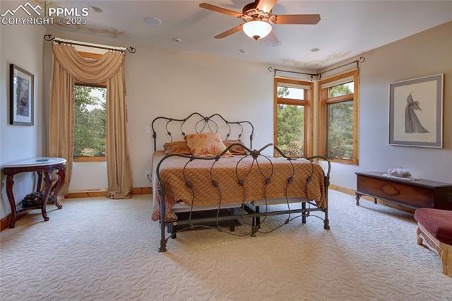 MLS Image for 111 E Lovell Gulch  ,Woodland Park, Colorado