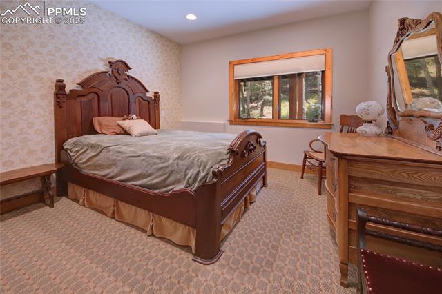 MLS Image for 111 E Lovell Gulch  ,Woodland Park, Colorado