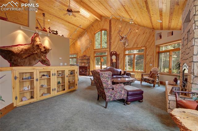 MLS Image for 111 E Lovell Gulch  ,Woodland Park, Colorado