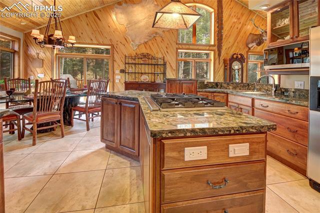 MLS Image for 111 E Lovell Gulch  ,Woodland Park, Colorado