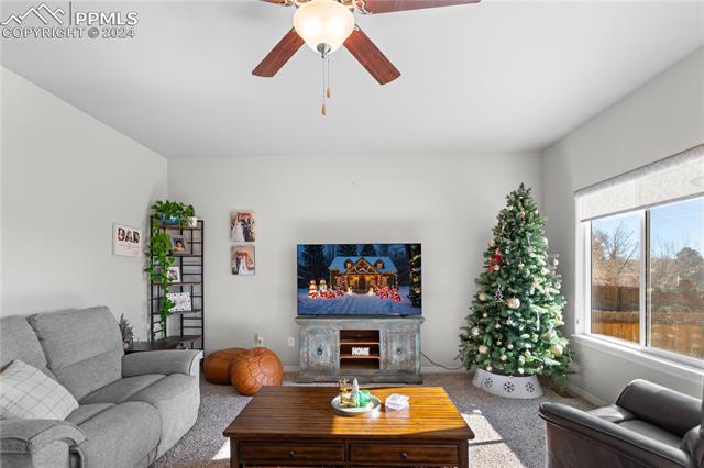 MLS Image for 9777  Wando  ,Colorado Springs, Colorado