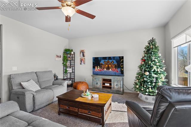 MLS Image for 9777  Wando  ,Colorado Springs, Colorado