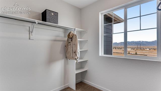MLS Image for 6740  Dragontail  ,Colorado Springs, Colorado