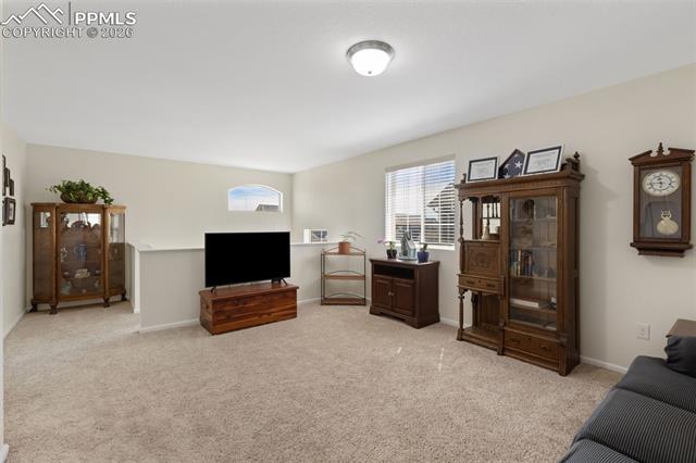 MLS Image for 6588  Cottonwood Tree  ,Colorado Springs, Colorado