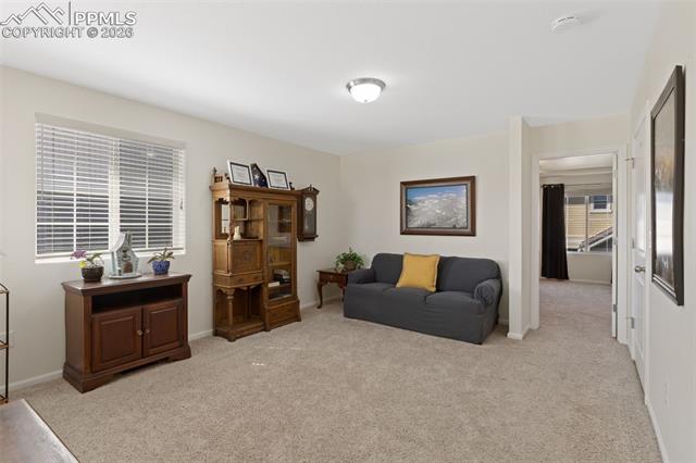 MLS Image for 6588  Cottonwood Tree  ,Colorado Springs, Colorado