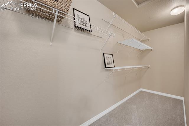 MLS Image for 6259  Bearcat  ,Colorado Springs, Colorado