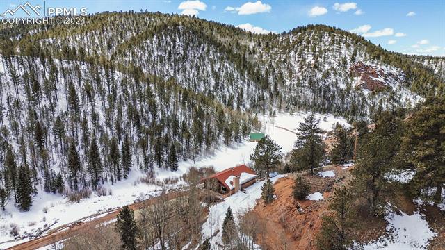 MLS Image for 70  Beaver Pond  ,Divide, Colorado