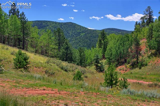 MLS Image for 68  Valley  ,Divide, Colorado