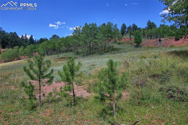 MLS Image for 68  Valley  ,Divide, Colorado