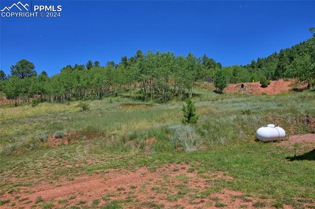 MLS Image for 68  Valley  ,Divide, Colorado