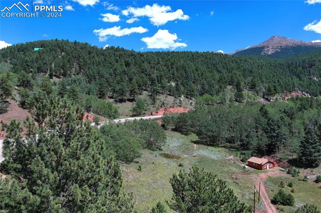 MLS Image for 68  Valley  ,Divide, Colorado