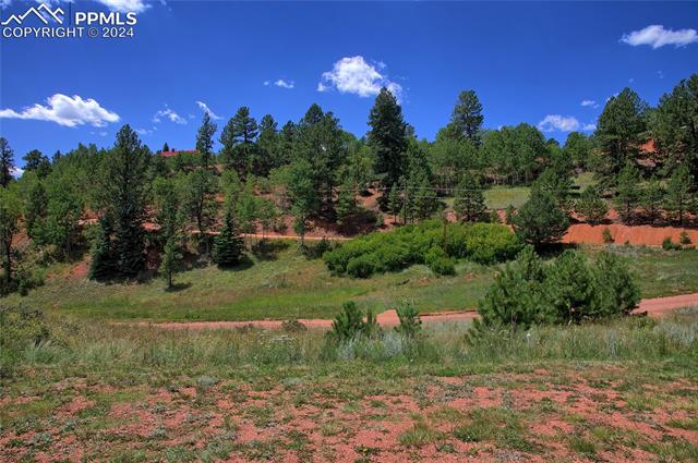 MLS Image for 68  Valley  ,Divide, Colorado